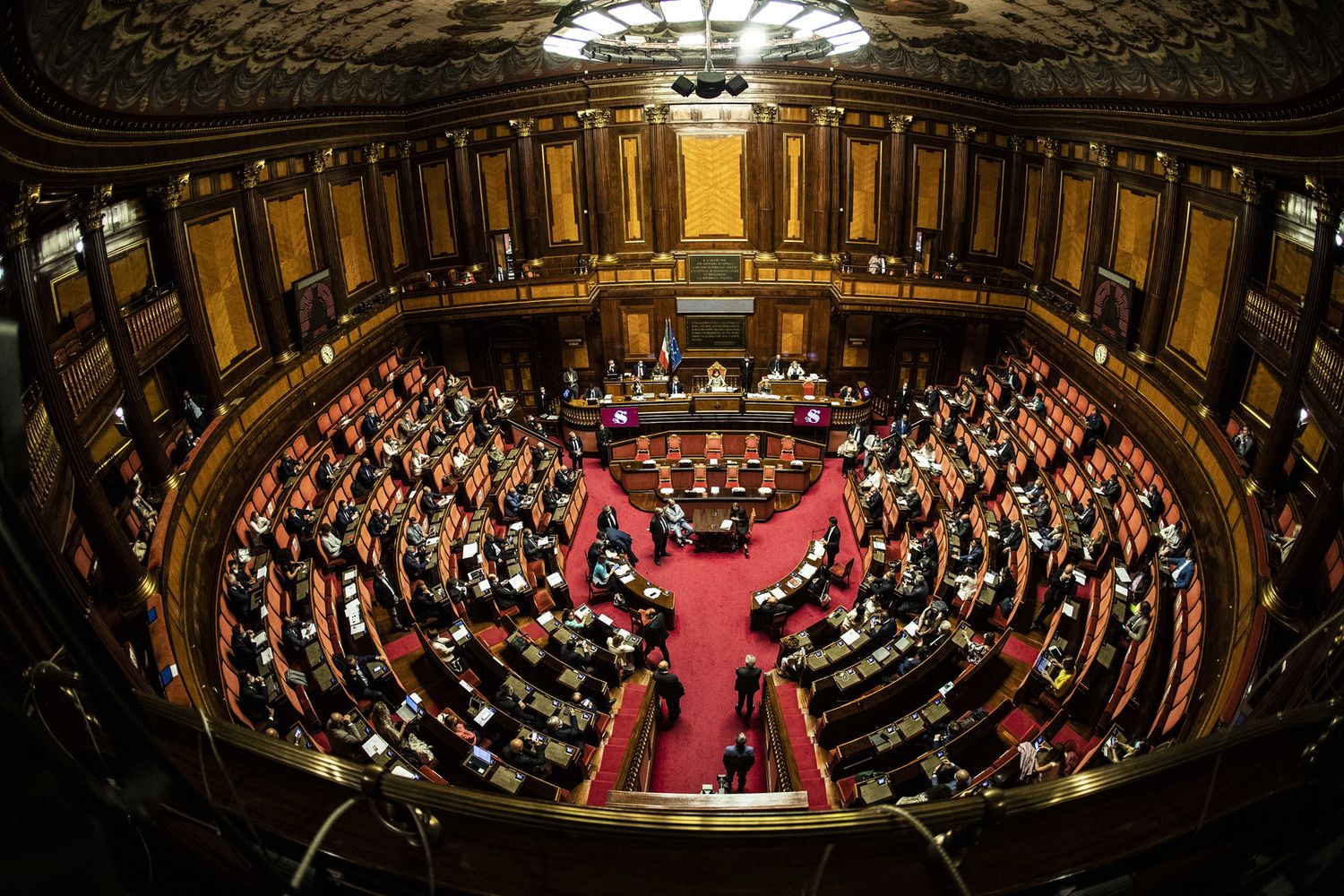 Senato
