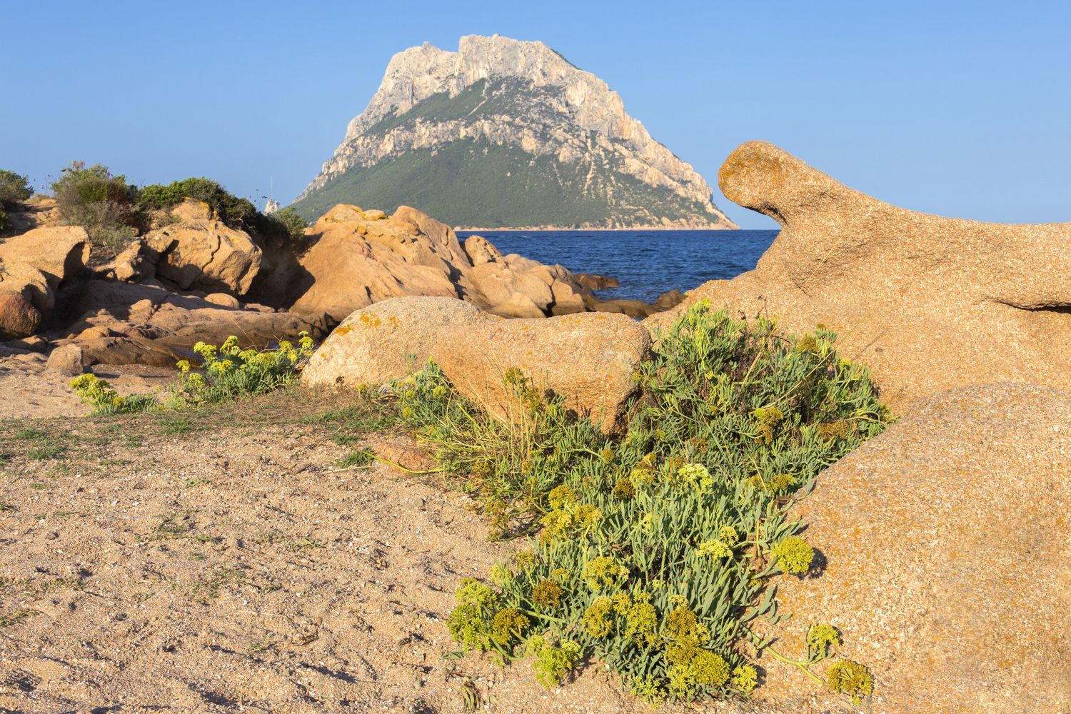 Tavolara, Sardegna