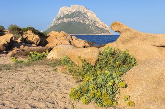 Tavolara, Sardegna