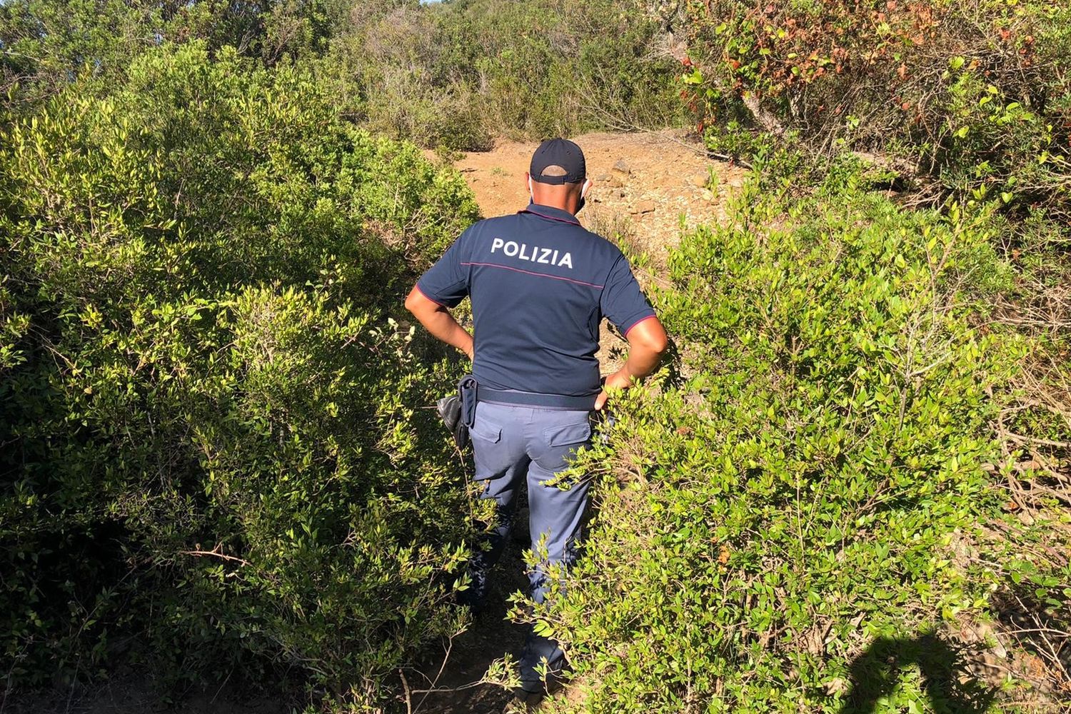 Le ricerche del piccolo Gioele nelle campagne di Caronia