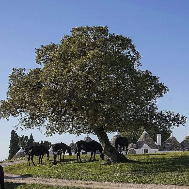Il Festival dei Sensi, primo &quot;safari culturale&quot; d&#39;Italia