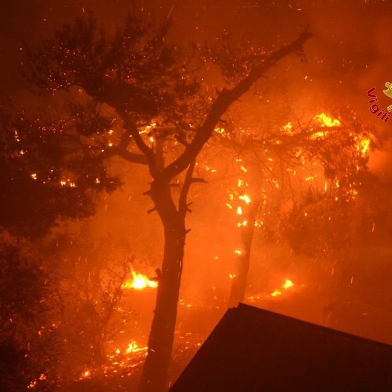 incendi fiamme palermo scopello evacuate persone