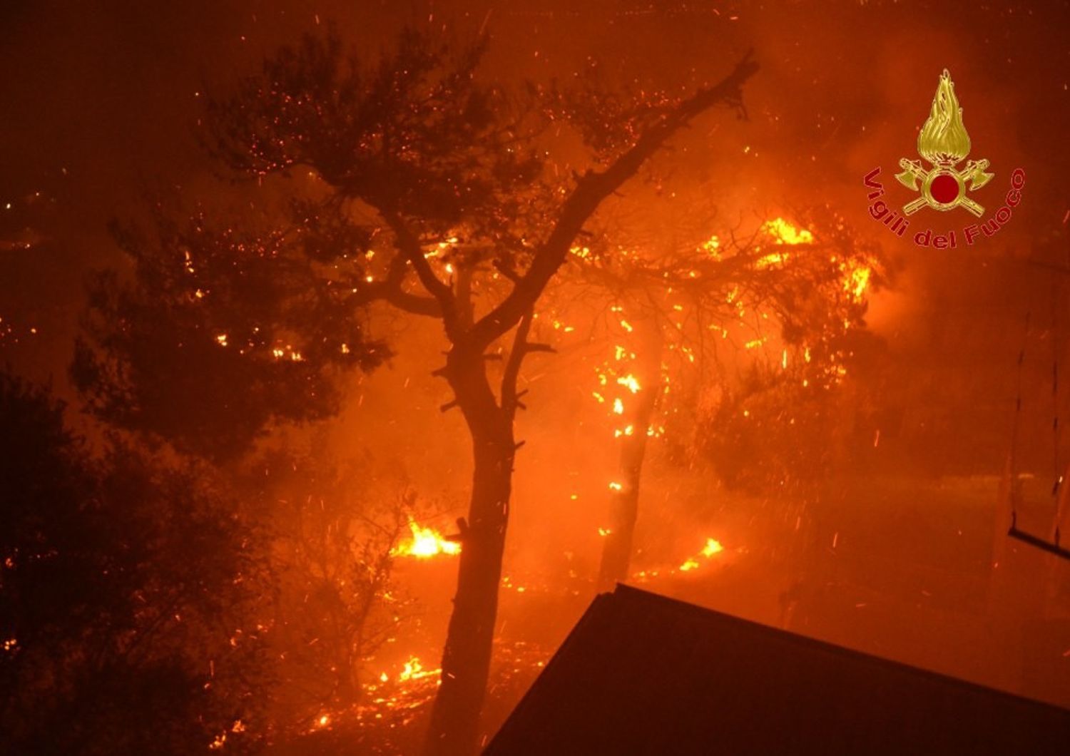 incendi fiamme palermo scopello evacuate persone