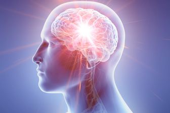 Il cervello, sede della memoria: illustrazione grafica