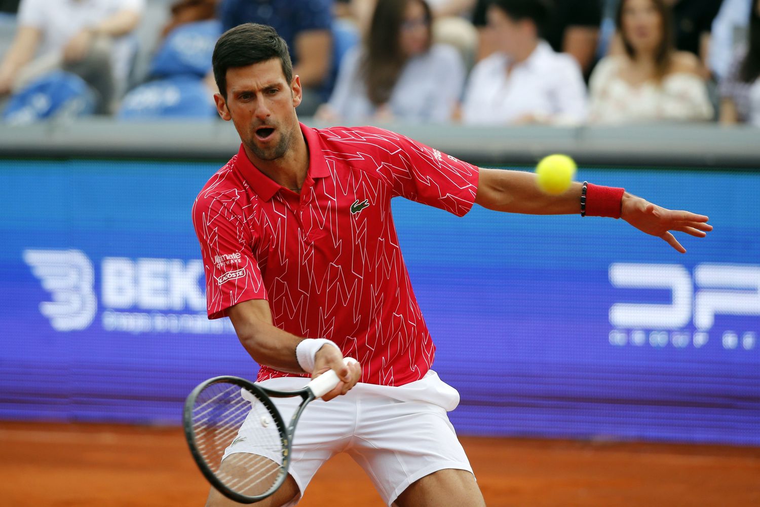 &nbsp;Novak Djokovic, sui campi da tennis