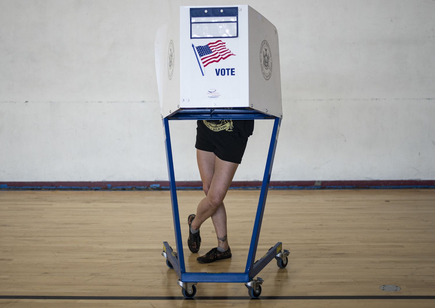 Voto, Usa