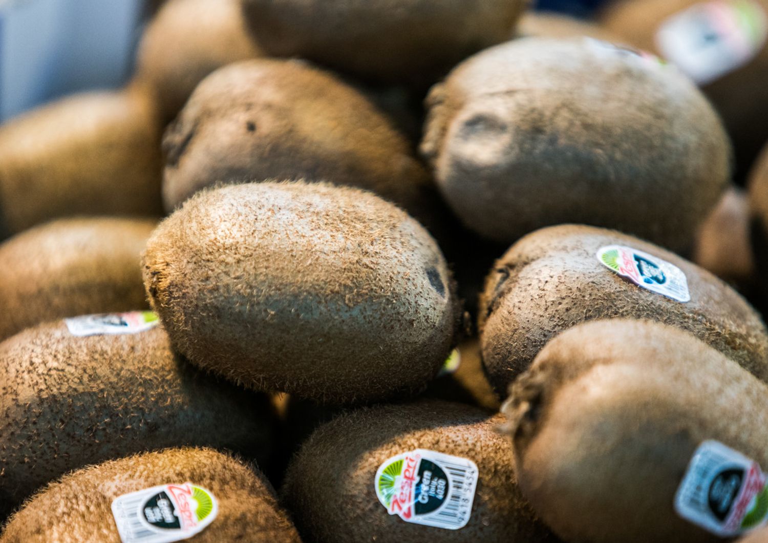 malattia&nbsp;kiwi rischio produzione italia