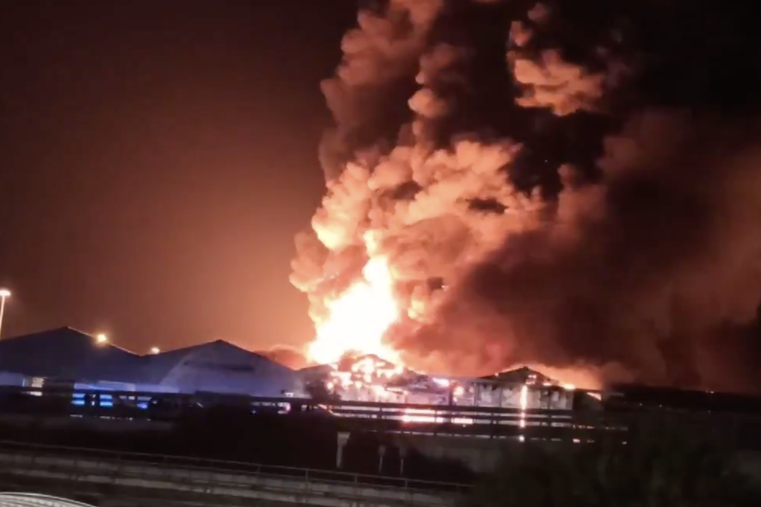 Gli incedi devastano ettari di boschi in Calabria