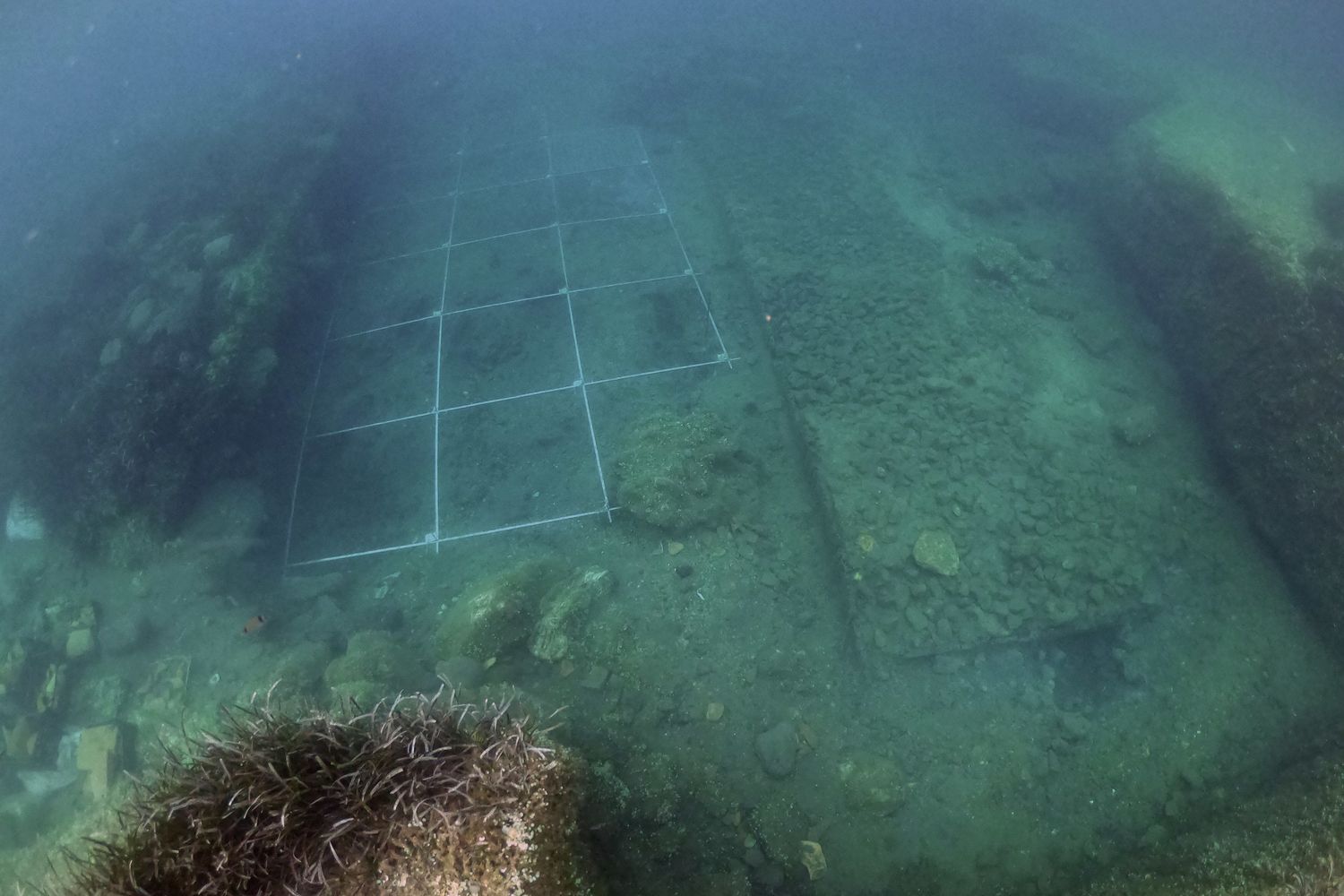 Resti relitto Cartaromana ad Ischia