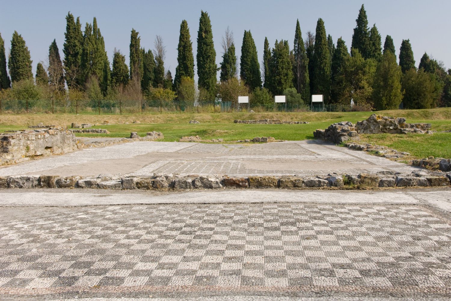 operazioni di pulitura del mosaico del cervo