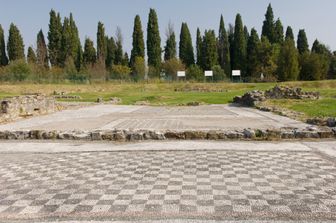 operazioni di pulitura del mosaico del cervo