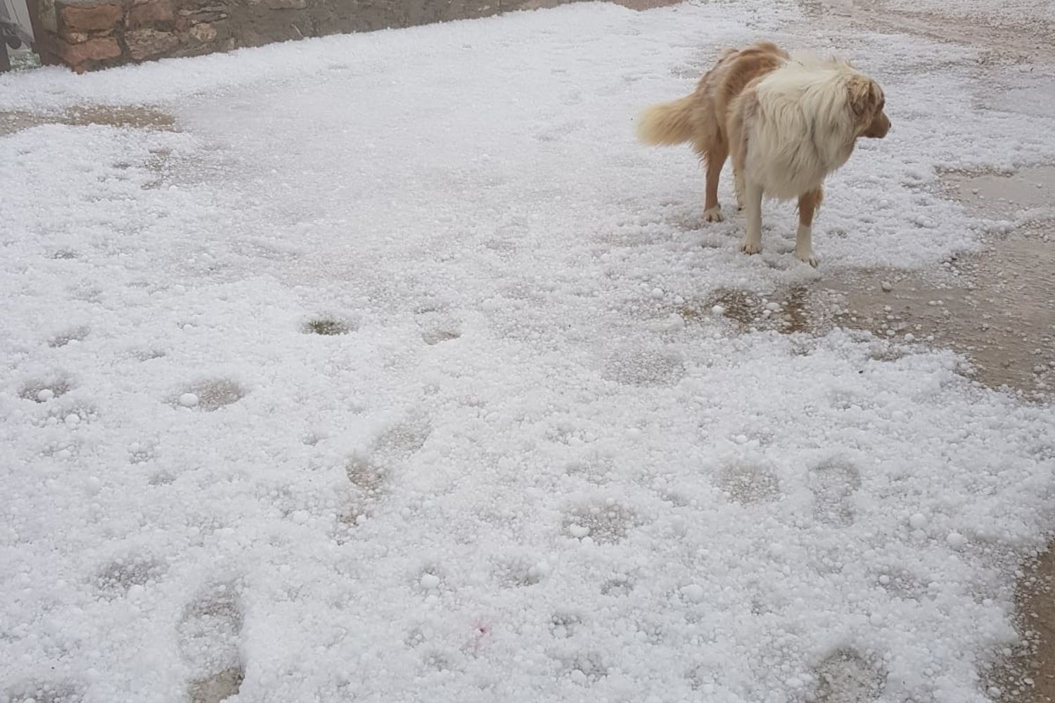 Prima nevicata nelle Dolomiti