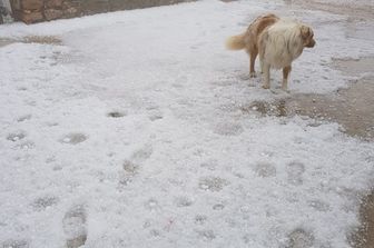 Prima nevicata nelle Dolomiti