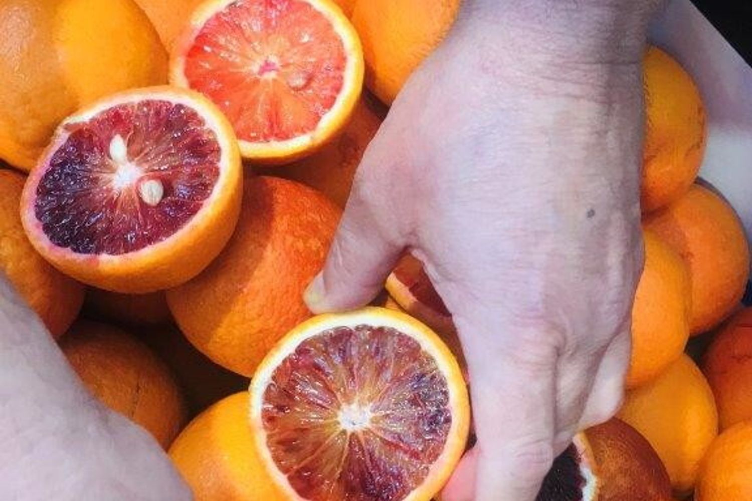 &nbsp;Arance rosse d'Australia