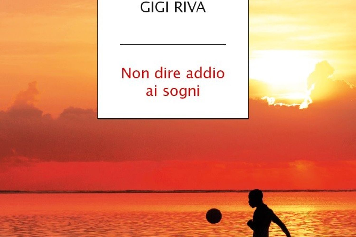 La copertina del libro &quot;Non dire addio ai sogni&quot;