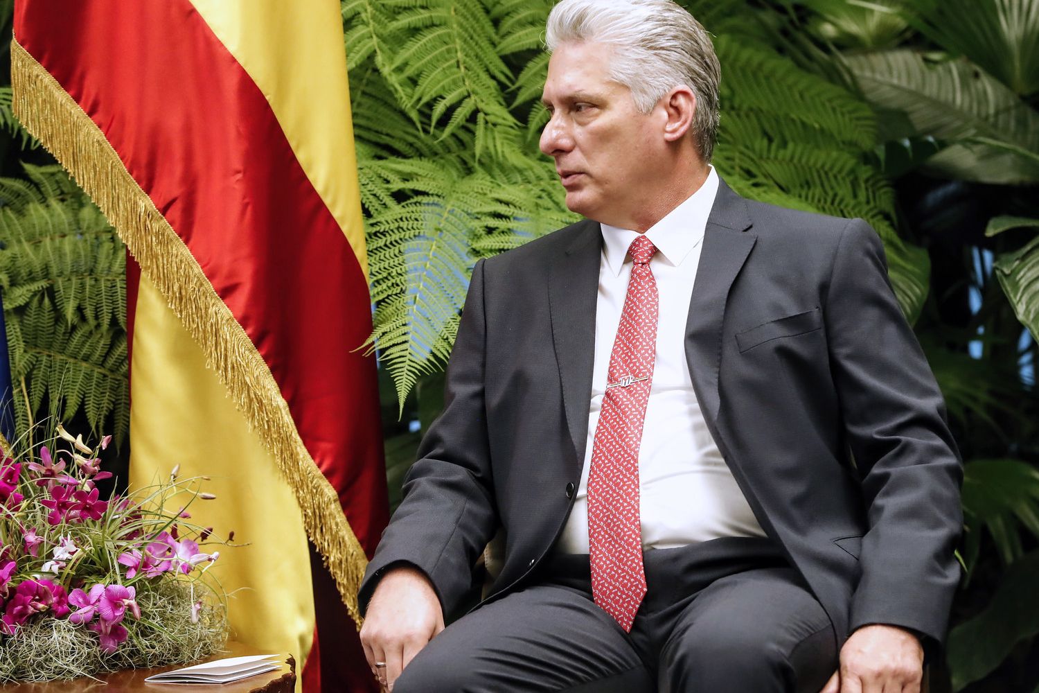 Miguel&nbsp;Diaz-Canel&nbsp;