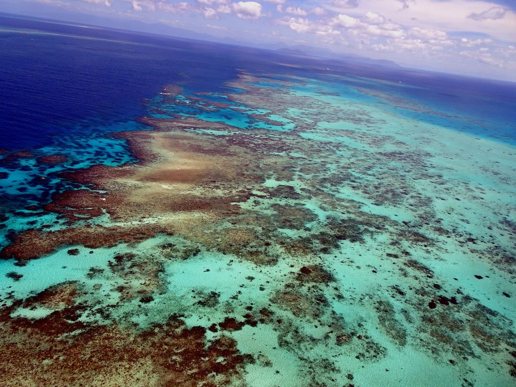 Australia, Grande barriera corallina