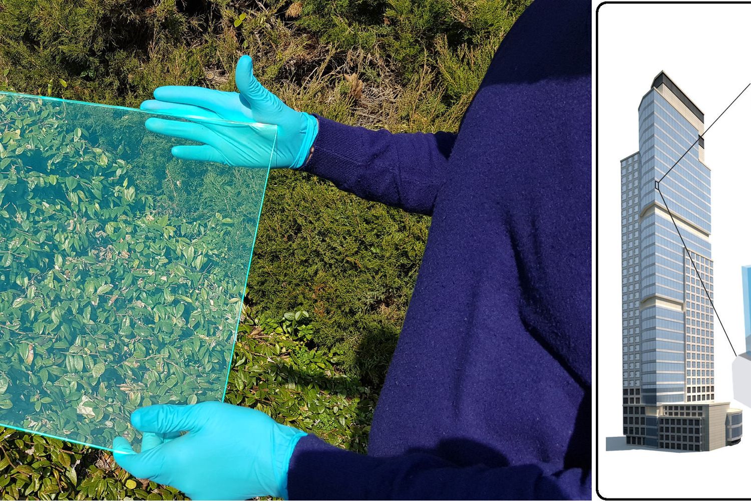 Lastra di plexiglas trasparente contenente una dispersione del materiale organico che agisce da concentratore solare a luminescenza (LSC)