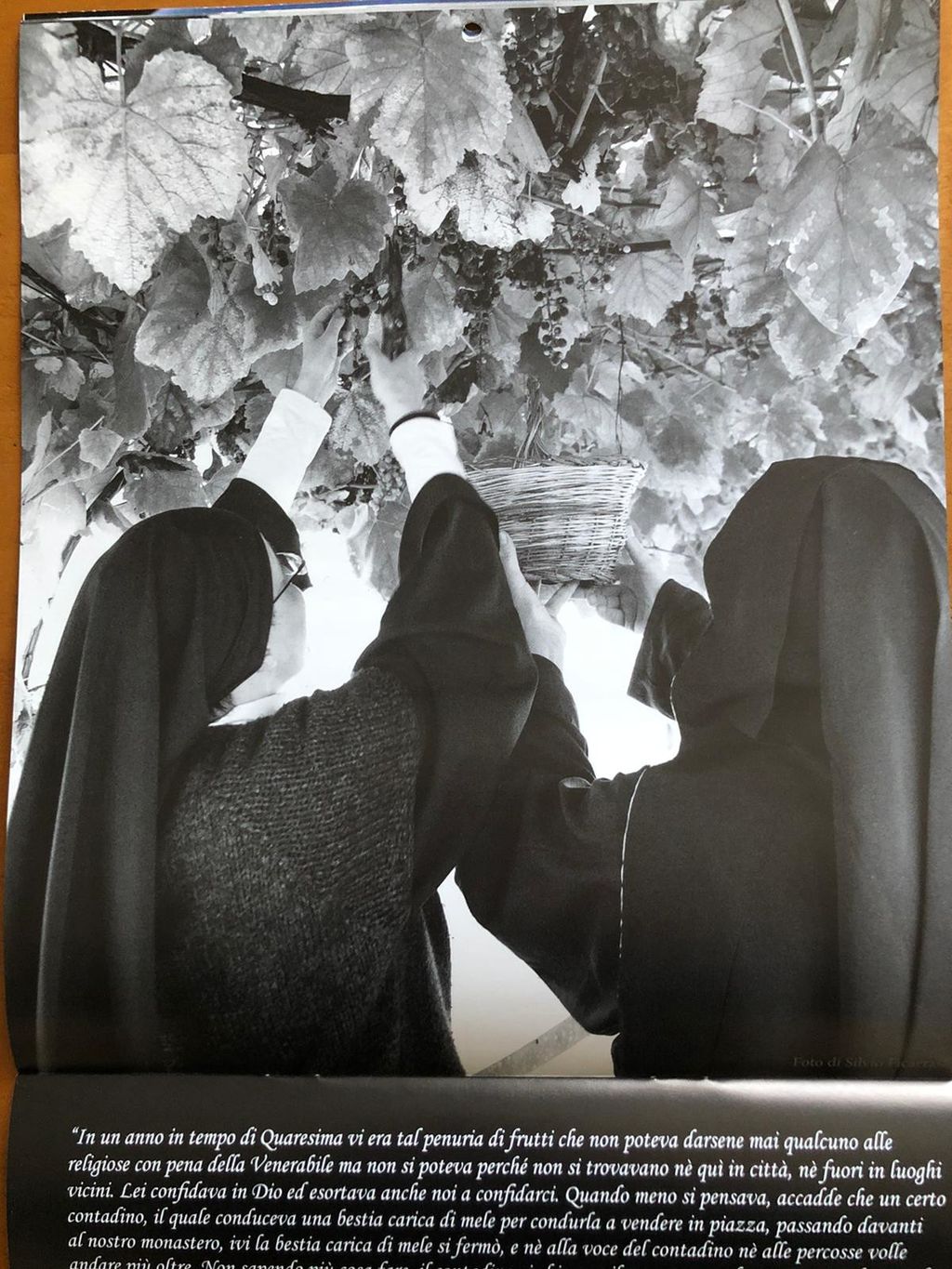 Convento di clausura di Citt&agrave; di Castello&nbsp;