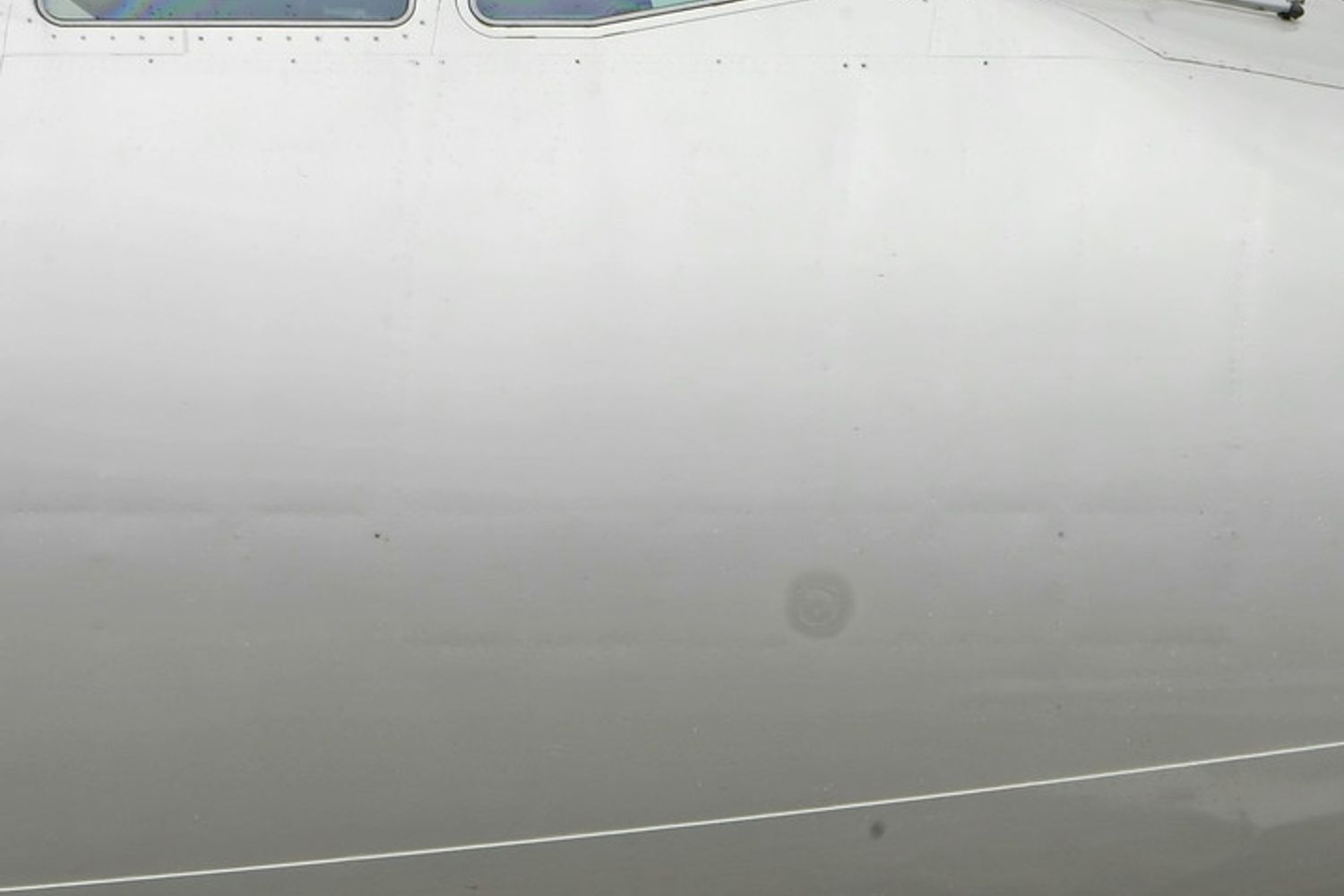 In basso, il Tubo di Pitot, strumento essenziale al volo dove si annidano le vespe