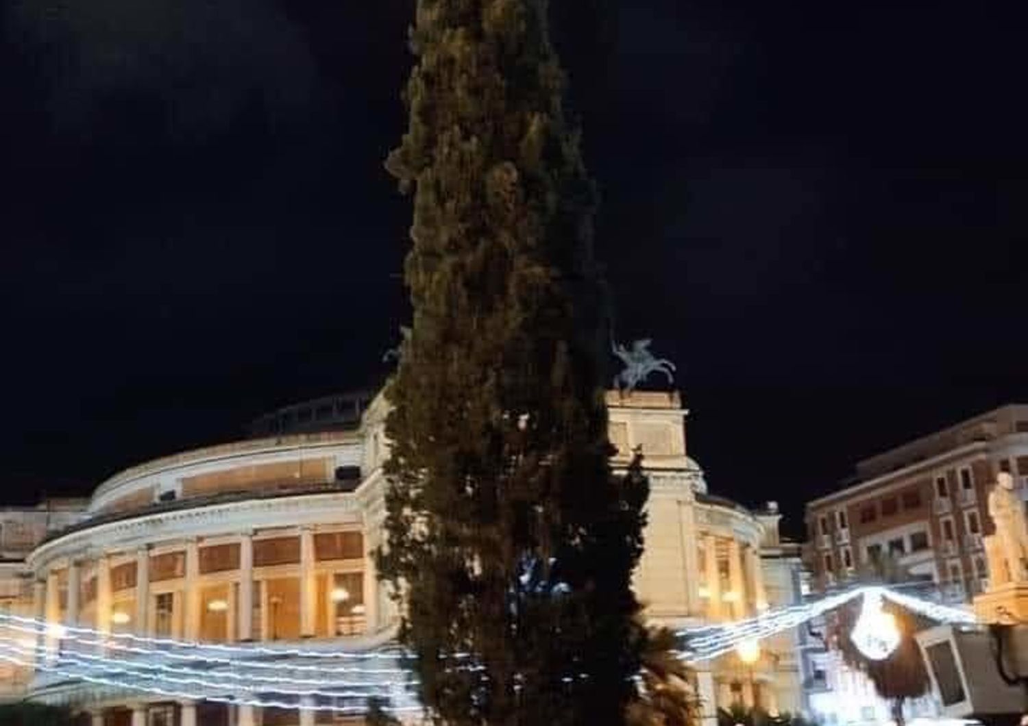 Il 'cipresso di Natale' comparso a Palermo e sparito in una notte dopo le proteste social