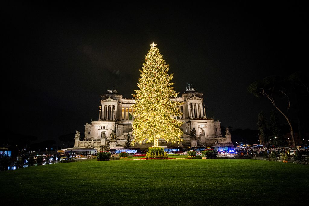 L'albero di Natale in piazza Venezia a Roma