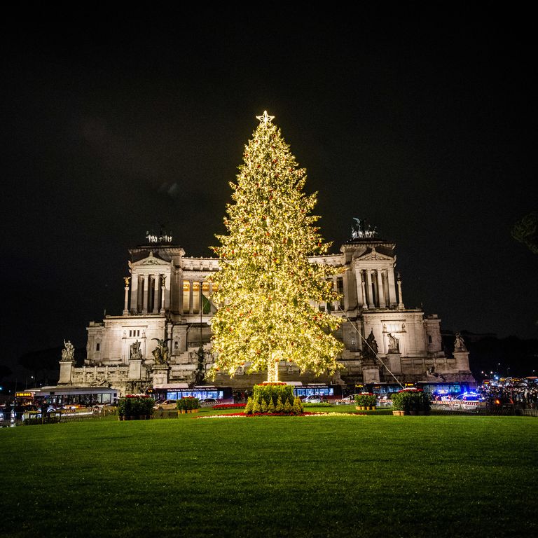 L'albero di Natale in piazza Venezia a Roma