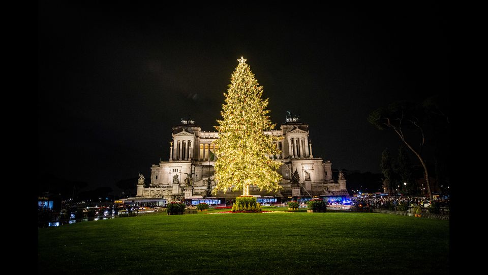 L'albero di Natale in piazza Venezia a Roma