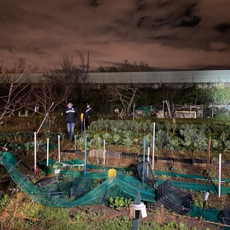 Il lungo del ritrovamento della terza valigia, Sollicciano