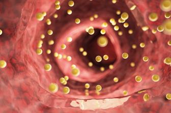 Riproduzione del colesterolo nel sangue