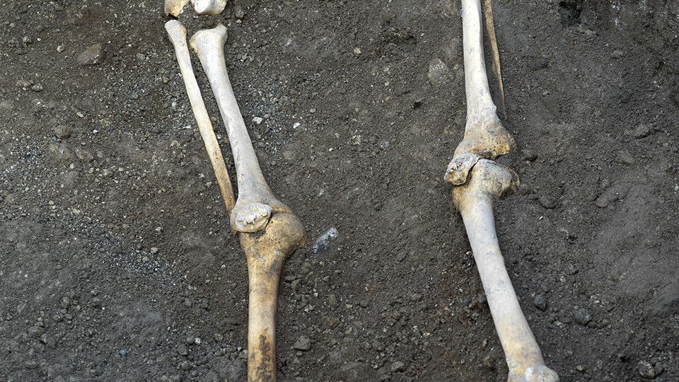 Pompei, Termopolio Regio V