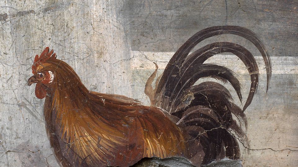 Pompei, Termopolio Regio V