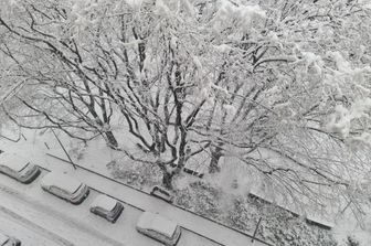Maltempo, Milano sotto la neve&nbsp;&nbsp;