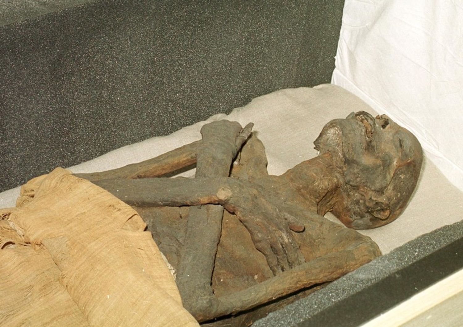 Mummia di Ramses I