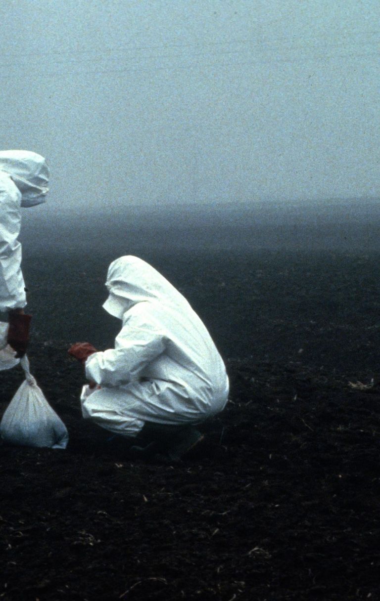 La diossina a Seveso