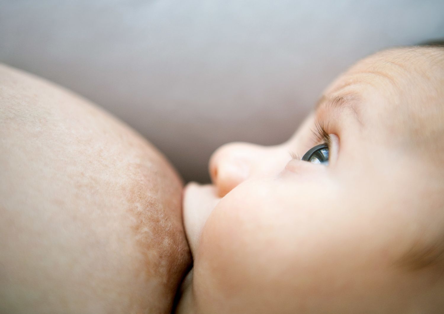 scoperta benefici allattamento seno dovuti batteri