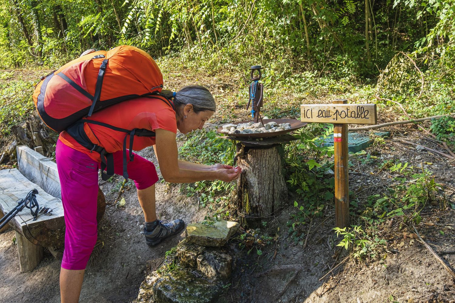 Cima torrido, Francia