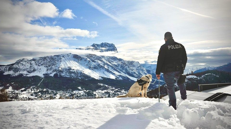 Spok, il cane antiesplosivo della Polizia