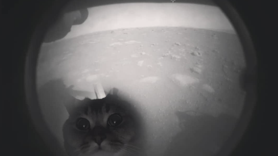 Un meme dedicato a Perseverance