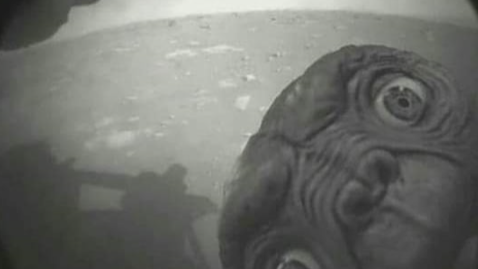 Un meme dedicato a Perseverance