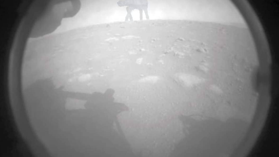 Un meme dedicato a Perseverance