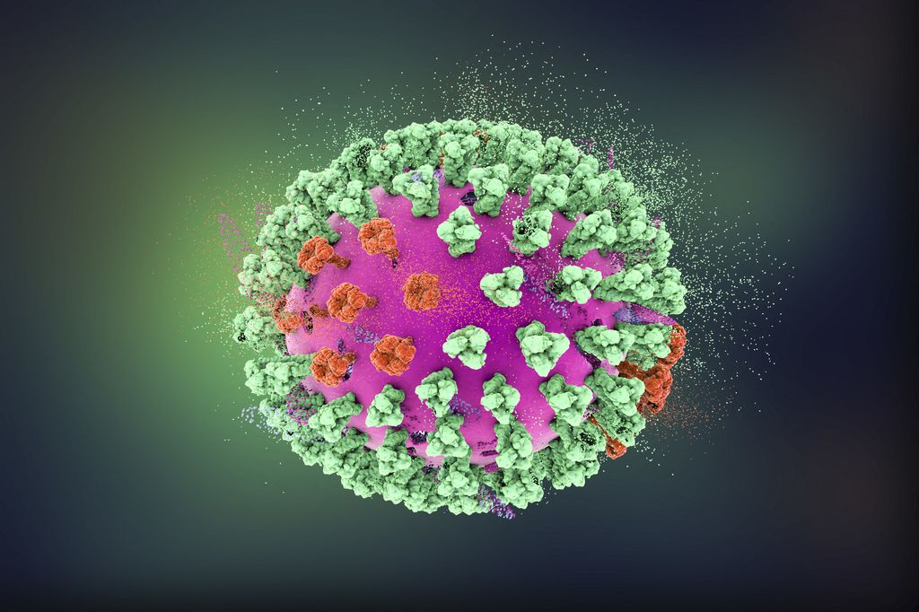 Virus H5n8