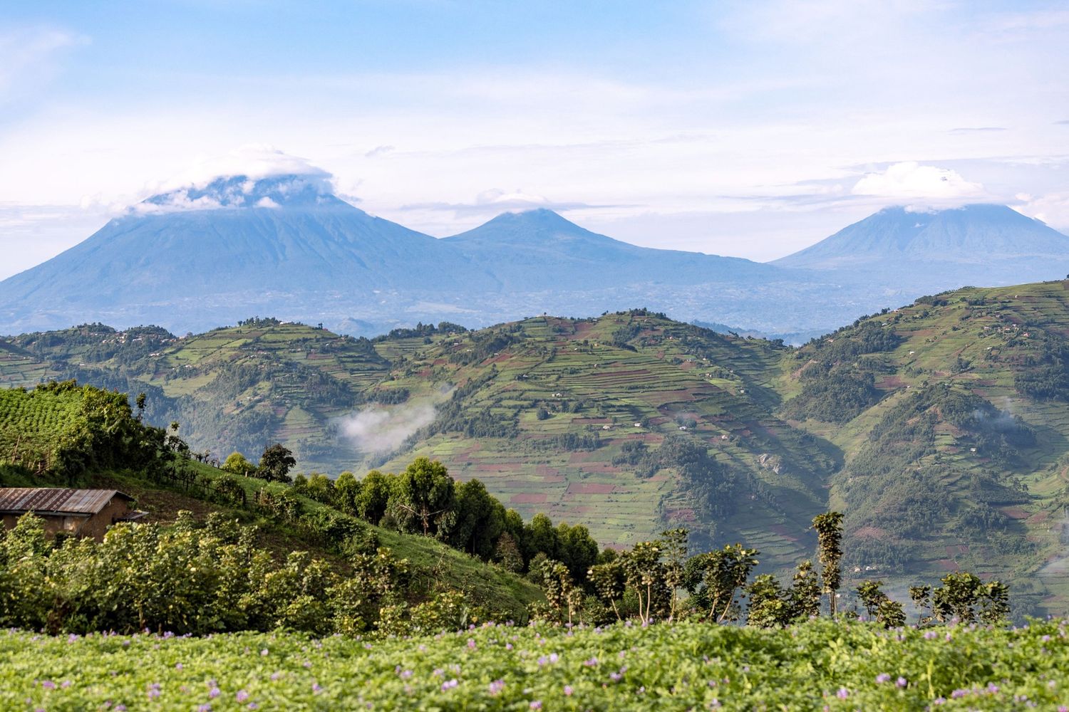 Il parco del Virunga