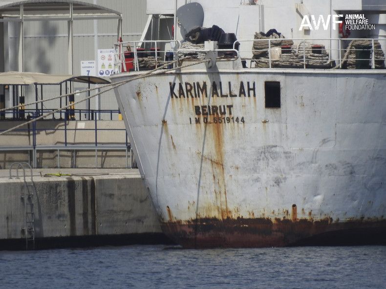 Il cargo 'Karim Allah'