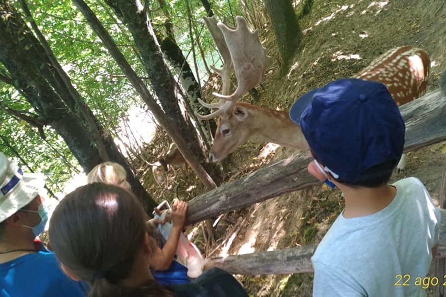 &nbsp;Il parco naturalistico Oasi di Orie Terme