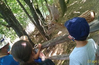 &nbsp;Il parco naturalistico Oasi di Orie Terme