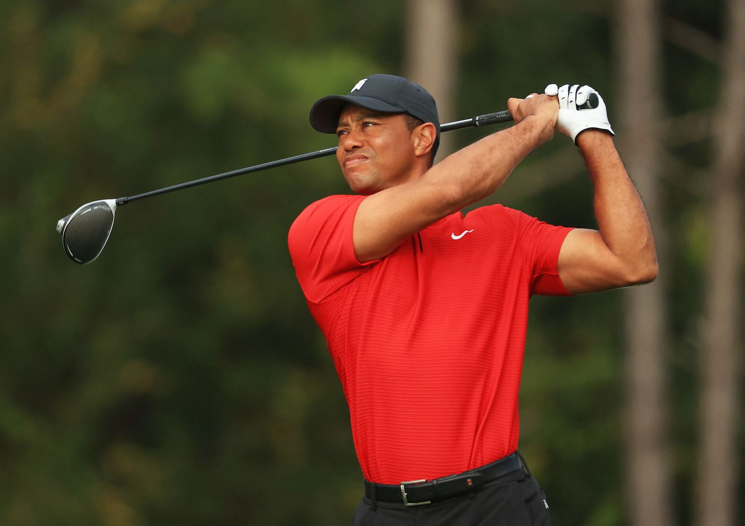 Il campione di golf, Tiger Woods&nbsp;