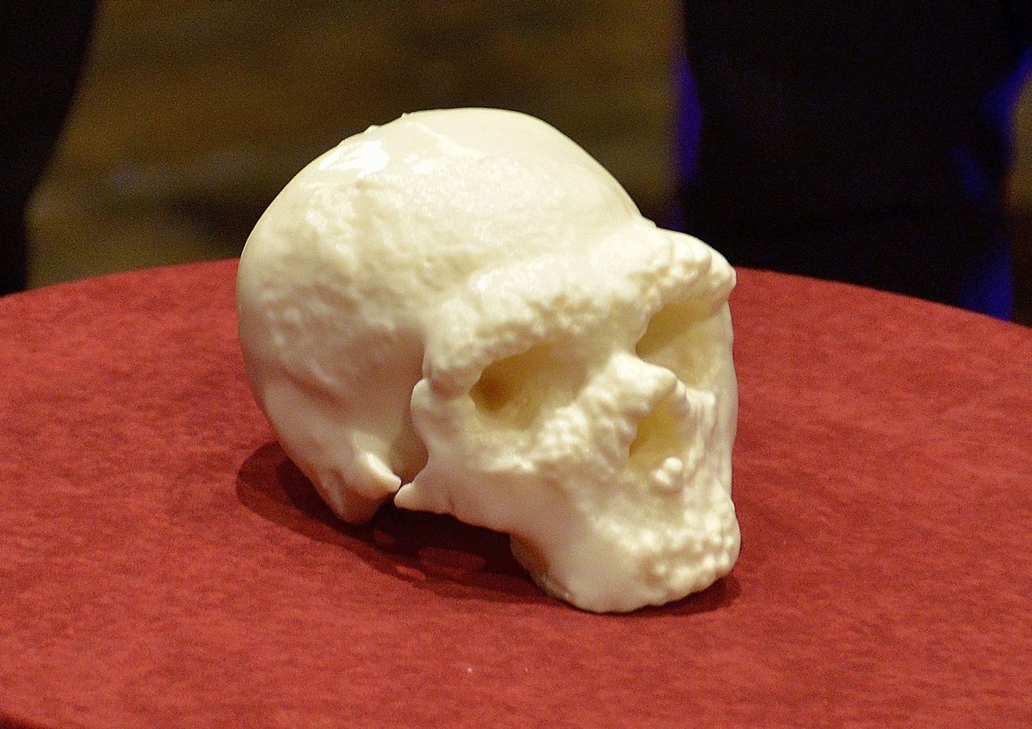 Ricostruzione in 3-D del cranio dell'uomo di Altamura