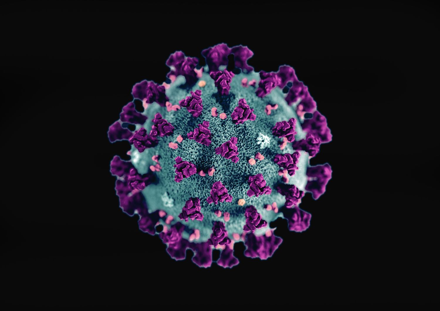 Coronavirus