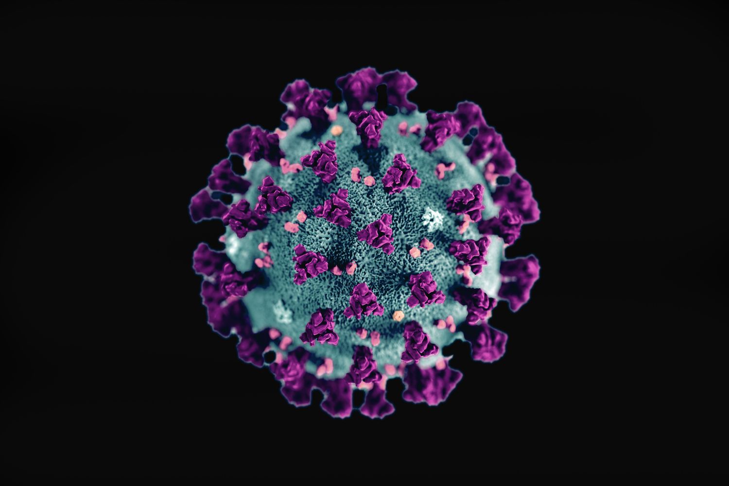 Coronavirus